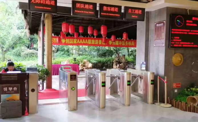 自動生成報表