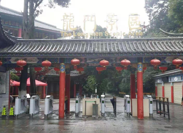 自動生成報表